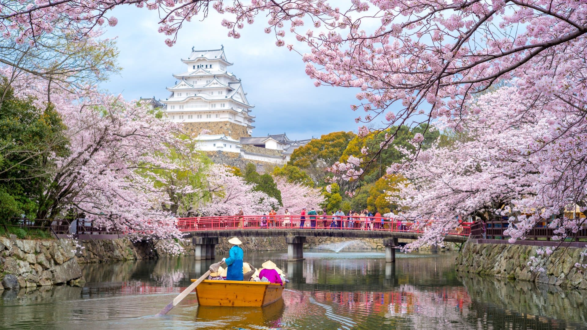 Himeji Castle with beautiful cherry blossom in spring season, Kyoto, Japan